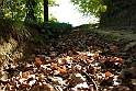 San damiano d'Asti - Colori d'autunno 2009_11